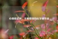 心境稳定剂，平衡情绪的化学调节器