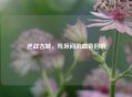 逆战古城，残垣间的血色回响