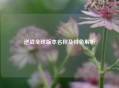 逆战全球版本名称及特色解析