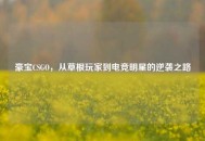 豪宝CSGO，从草根玩家到电竞明星的逆袭之路