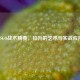 CSGO战术精要，拉升的艺术与实战应用