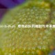 CS:GO RedWolf，电竞战队的崛起与未来展望