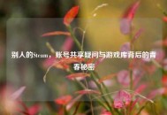 别人的Steam，账号共享疑问与游戏库背后的青春秘密