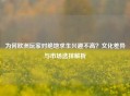 为何欧洲玩家对绝地求生兴趣不高？文化差异与市场选择解析