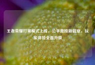 王者荣耀打黑模式上线，公平竞技新篇章，玩家体验全面升级