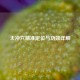 太冲穴精准定位与功效详解