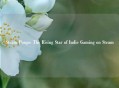 Steam Pongo: The Rising Star of Indie Gaming on Steam