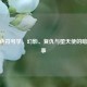 CF角色符号学，幻影、复仇与堕天使的暗影叙事