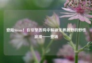 登陆Steam！在引擎轰鸣中解锁***越野的野性浪漫——登场