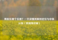 胃脘在哪个位置？一文读懂其解剖定位与中医认知（附视频详解）