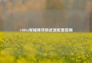 COD16军械库终极武器配置指南