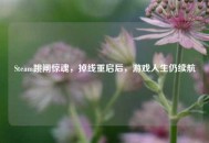 Steam跳闸惊魂，掉线重启后，游戏人生仍续航