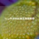 Steam平台必玩精品游戏推荐
