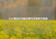 PUBG预设栏功能详解与实用技巧指南