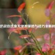 逆战自选盘龙使用策略与技巧全解析