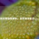LOL小炮后期强度解析，麦林炮手能否carry全场？
