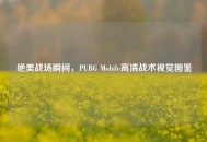 绝美战场瞬间，PUBG Mobile高清战术视觉图鉴