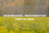 绒软肌理藏治愈密码，解析和平精英团子皮肤纹理美学及上线时间