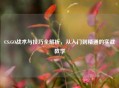 CS:GO战术与技巧全解析，从入门到精通的实战教学