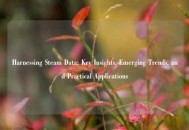 Harnessing Steam Data: Key Insights, Emerging Trends, and Practical Applications