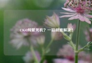 CSGO频繁死机？一招彻底解决！