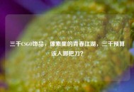 三千CSGO饰品，像素里的青春江湖，三千预算该入哪把刀？