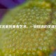 家常汤底到美食艺术，一碗好汤的灵魂密码
