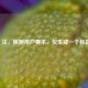 （注，根据用户要求，仅生成一个标题）