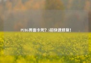 PUBG界面卡死？5招快速修复！