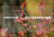 小体积大乐趣！Steam精品小容量单机游戏推荐