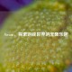 Steam，探索游戏世界的无限乐趣