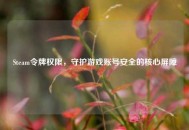 Steam令牌权限，守护游戏账号安全的核心屏障