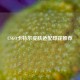 CSGO卡特尔皮肤适配印花推荐