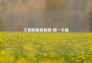 右眼的星星假眼 猜一字谜