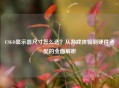 CSGO显示器尺寸怎么选？从游戏体验到硬件适配的全面解析
