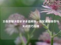 王者荣耀冰霜长矛全面解析,适配英雄推荐与实战技巧指南 王者荣耀冰霜长矛全面解析,适配英雄推荐与实战技巧指南