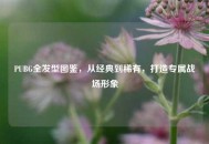 PUBG全发型图鉴，从经典到稀有，打造专属战场形象
