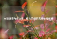 CF职业赛与自由赛，枪火荣耀的竞技差异解析