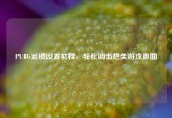 PUBG滤镜设置教程，轻松调出绝美游戏画面