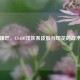 低调锋芒，CS:GO浅灰系皮肤与印花的战术美学