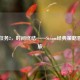 战锤任务2，时间终结——Steam经典策略冒险之旅