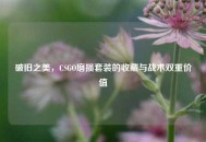 破旧之美，CSGO磨损套装的收藏与战术双重价值