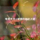 电竞天才CF夏豪的崛起之路