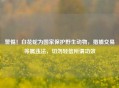 警惕！白花蛇为国家保护野生动物，猎捕交易等属违法，切勿轻信所谓功效