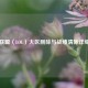 英雄联盟（LOL）大区删除与战绩清除详细指南