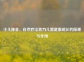 小儿推拿，自然疗法助力儿童健康成长的原理与作用