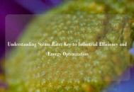 Understanding Steam Rate: Key to Industrial Efficiency and Energy Optimization