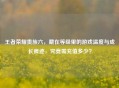 王者荣耀贵族六，藏在等级里的游戏温度与成长痕迹，究竟需充值多少？
