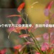 10个科学     快速提神，告别开会瞌睡