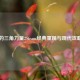 众神的三角力量2Steam经典重现与现代攻略指南